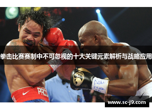 拳击比赛赛制中不可忽视的十大关键元素解析与战略应用