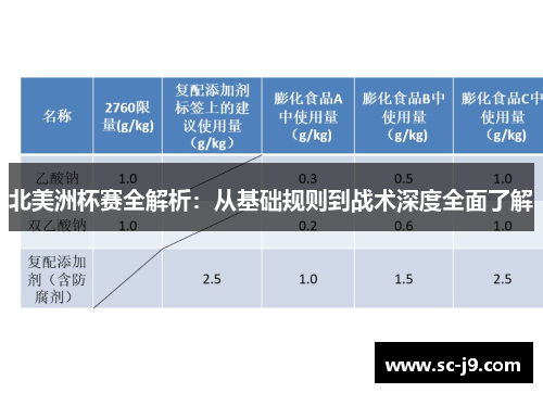 北美洲杯赛全解析：从基础规则到战术深度全面了解