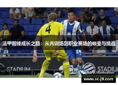 法甲前锋成长之路：从青训场到职业赛场的蜕变与挑战