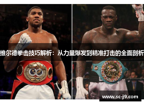 维尔德拳击技巧解析：从力量爆发到精准打击的全面剖析
