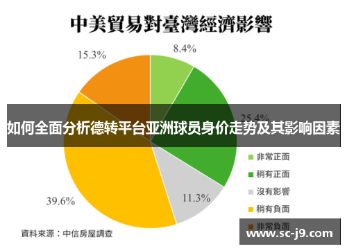 如何全面分析德转平台亚洲球员身价走势及其影响因素