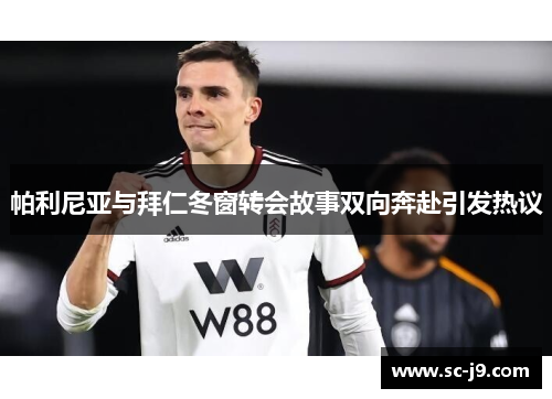 帕利尼亚与拜仁冬窗转会故事双向奔赴引发热议