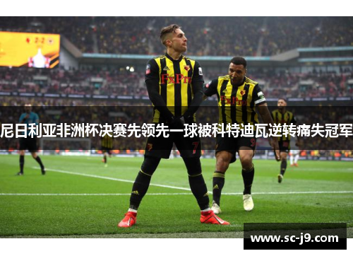 尼日利亚非洲杯决赛先领先一球被科特迪瓦逆转痛失冠军